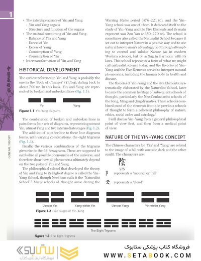 The Foundations of Chinese Medicine : A Comprehensive Text