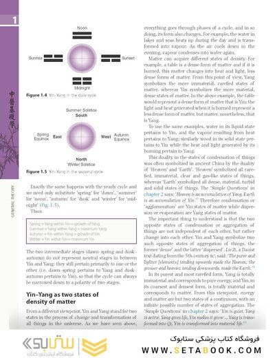The Foundations of Chinese Medicine : A Comprehensive Text