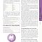 The Foundations of Chinese Medicine : A Comprehensive Text