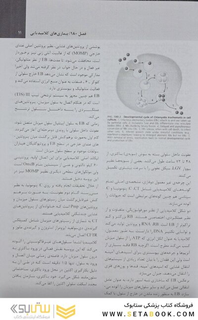 عوامل اتیولوژیک بیماری های عفونی جلد 1 مندل 2020