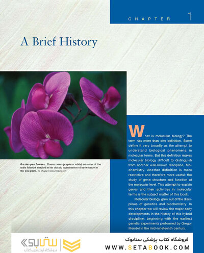 Molecular Biology 5th Edition 2012