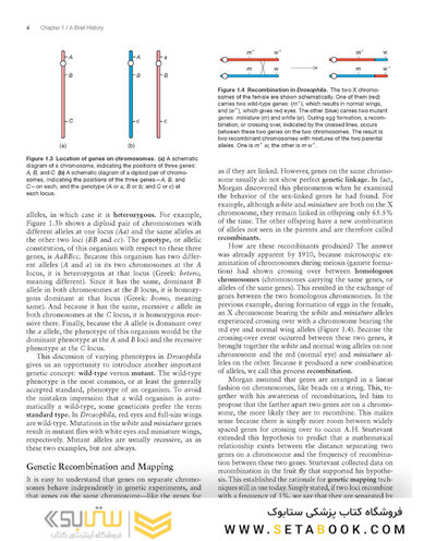 Molecular Biology 5th Edition 2012