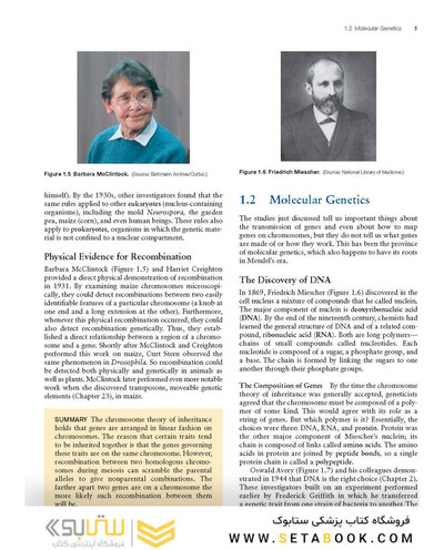 Molecular Biology 5th Edition 2012