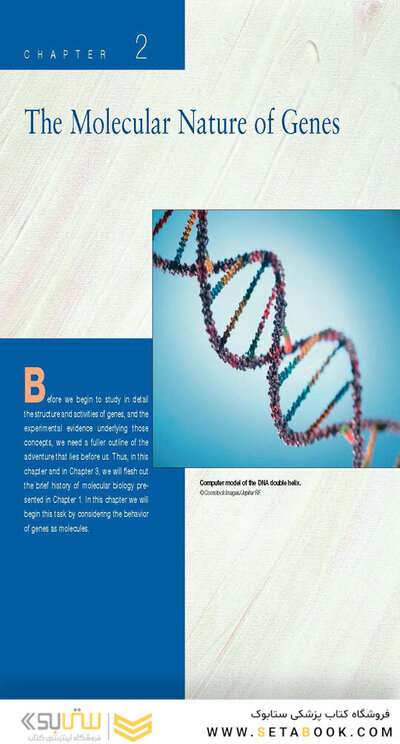 Molecular Biology 5th Edition 2012