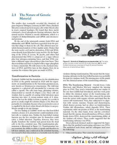 Molecular Biology 5th Edition 2012