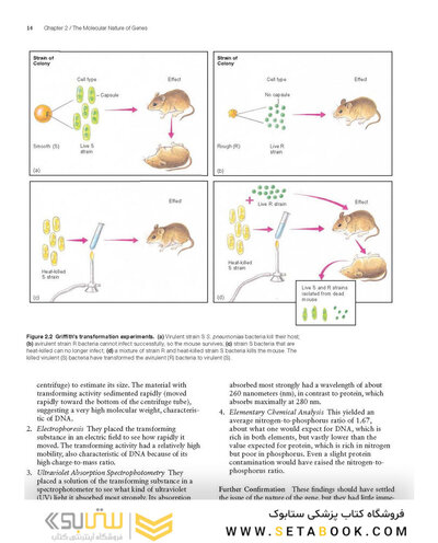 Molecular Biology 5th Edition 2012