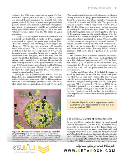 Molecular Biology 5th Edition 2012