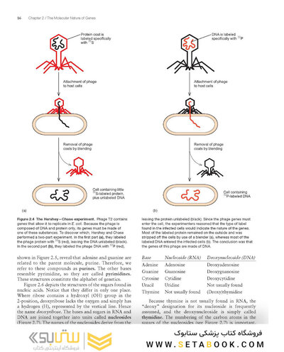 Molecular Biology 5th Edition 2012