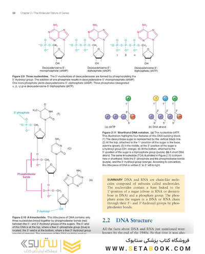 Molecular Biology 5th Edition 2012
