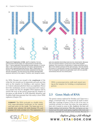 Molecular Biology 5th Edition 2012