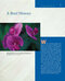 Molecular Biology 5th Edition 2012