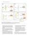 Molecular Biology 5th Edition 2012