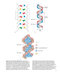 Molecular Biology 5th Edition 2012