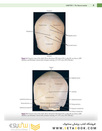 Atlas of Oral and Maxillofacial Surgery