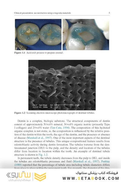 Material-Tissue Interfacial Phenomena : Contributions from Dental and Craniofacial Reconstructions 2017