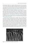Material-Tissue Interfacial Phenomena : Contributions from Dental and Craniofacial Reconstructions 2017