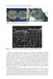 Material-Tissue Interfacial Phenomena : Contributions from Dental and Craniofacial Reconstructions 2017
