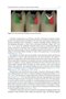 Material-Tissue Interfacial Phenomena : Contributions from Dental and Craniofacial Reconstructions 2017