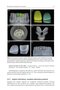 Material-Tissue Interfacial Phenomena : Contributions from Dental and Craniofacial Reconstructions 2017