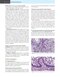 Odell's Clinical Problem Solving in Dentistry