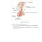 USMLE Step 2 CK Lecture Notes 2022: Internal Medicine