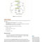 USMLE Step 2 CK Lecture Notes 2022: Internal Medicine