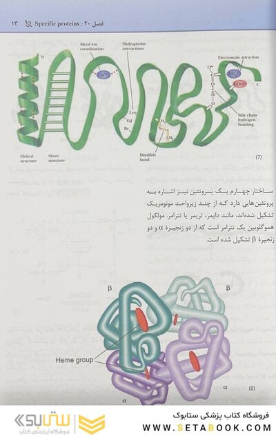 مجموعه سوالات پاتولوژی بالینی هنری 2022 جلد5