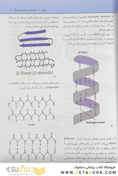 مجموعه سوالات پاتولوژی بالینی هنری 2022 جلد5