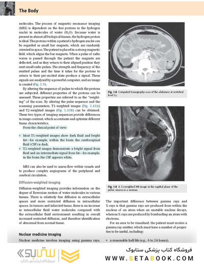 Gray's Anatomy for Students 2020