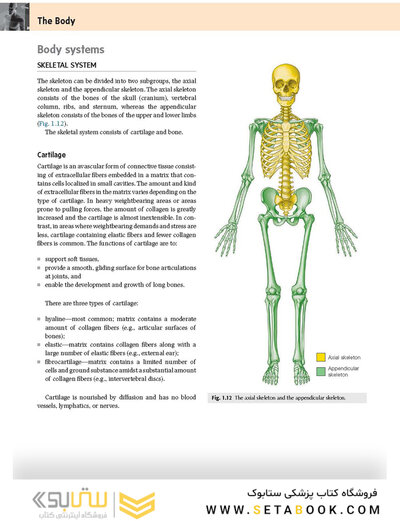 Gray's Anatomy for Students 2020