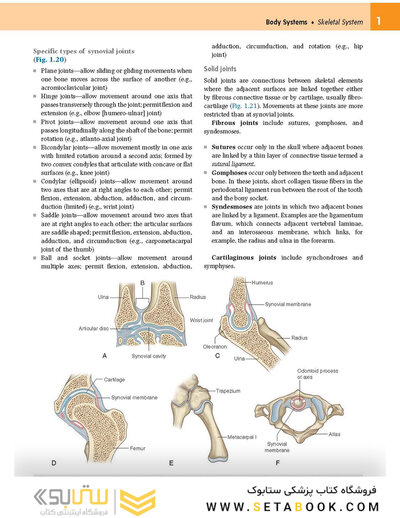 Gray's Anatomy for Students 2020