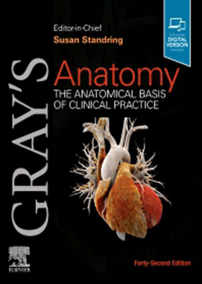 Gray's Anatomy: The Anatomical Basis of Clinical Practice 42nd Edition