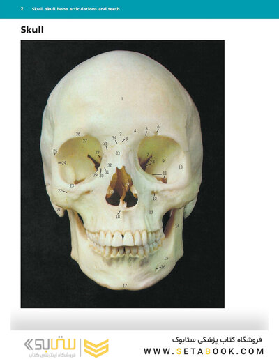 McMinn's Color Atlas of Head and Neck Anatomy