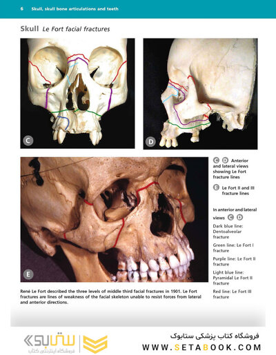 McMinn's Color Atlas of Head and Neck Anatomy
