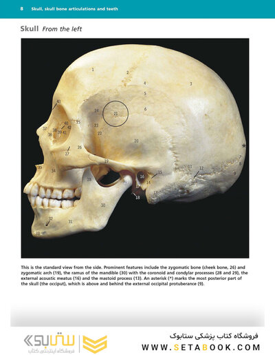 McMinn's Color Atlas of Head and Neck Anatomy