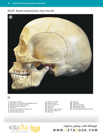 McMinn's Color Atlas of Head and Neck Anatomy