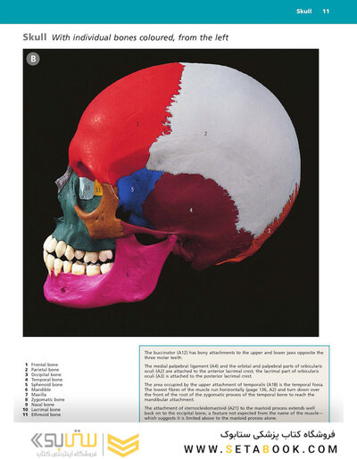 McMinn's Color Atlas of Head and Neck Anatomy