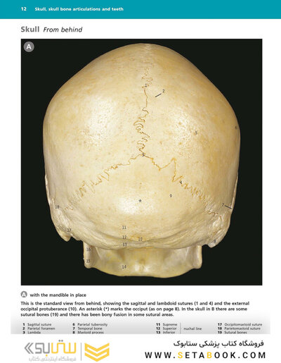 McMinn's Color Atlas of Head and Neck Anatomy