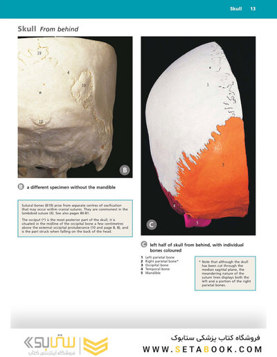 McMinn's Color Atlas of Head and Neck Anatomy