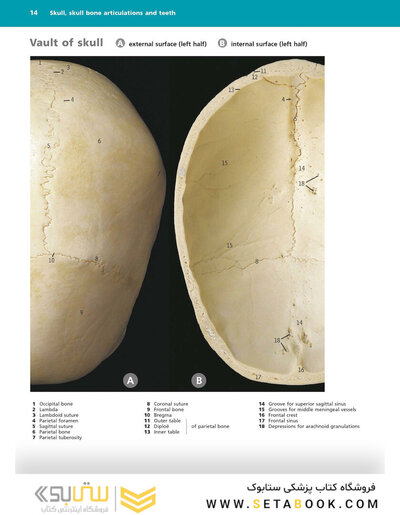 McMinn's Color Atlas of Head and Neck Anatomy