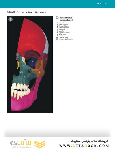 McMinn's Color Atlas of Head and Neck Anatomy