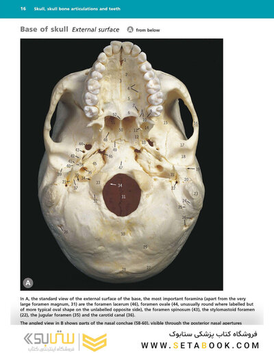 McMinn's Color Atlas of Head and Neck Anatomy
