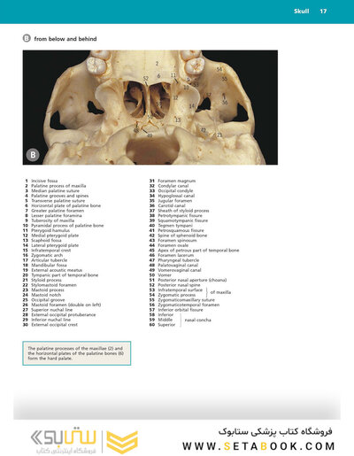 McMinn's Color Atlas of Head and Neck Anatomy
