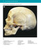 McMinn's Color Atlas of Head and Neck Anatomy