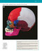 McMinn's Color Atlas of Head and Neck Anatomy