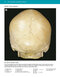 McMinn's Color Atlas of Head and Neck Anatomy