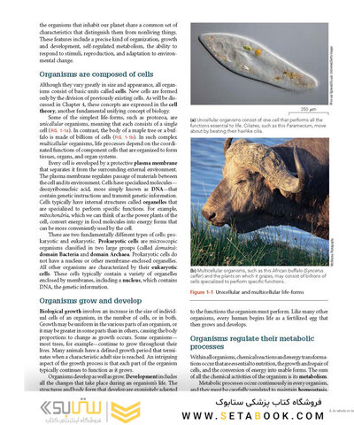Biology 11th Edicion