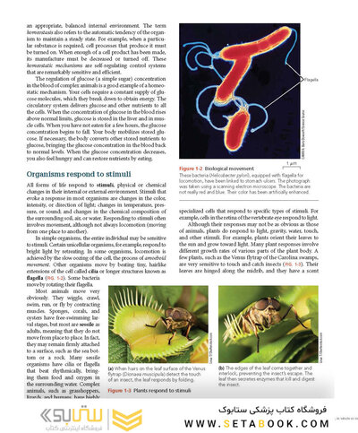 Biology 11th Edicion