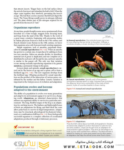 Biology 11th Edicion