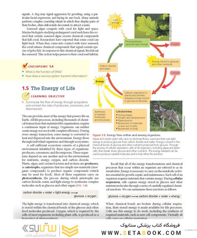 Biology 11th Edicion